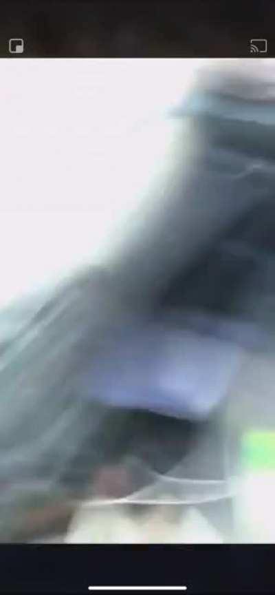 Little mouse v screaming woman