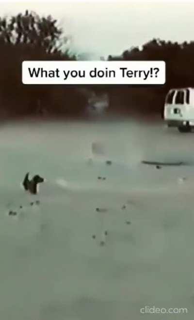 It's payback time, hooman