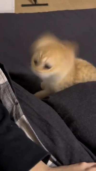 But here's the helicopter