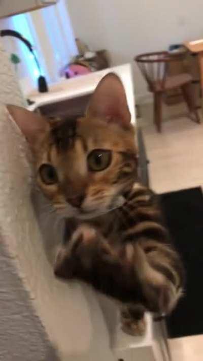 When she greets me at the door I DIE