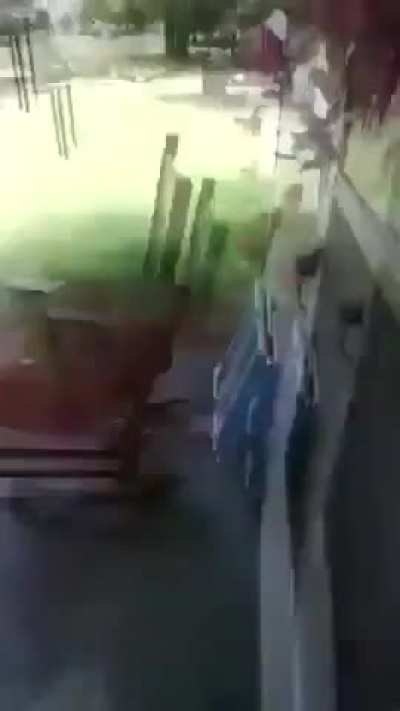 THE BEE MAN SADLY HAS SQUASHED THE CACODEMON CAW CAW