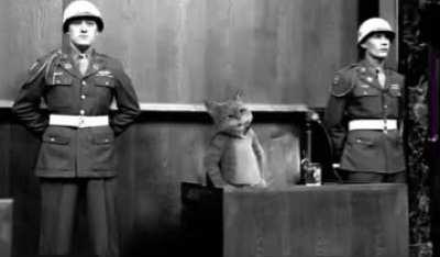 what the puss doing in 1939-1945🤨