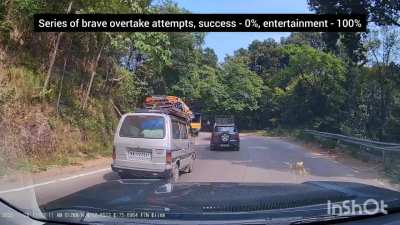 A fun drive through Shiradi ghats, Karnataka