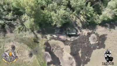 The precision of Ukrainian drone operators is unmatched. Right down the hatch destroying the Russian tank.