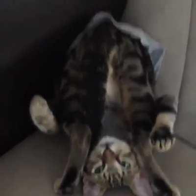 Not entirely sure what's going on here.