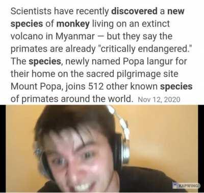 Reject humanity RETURN TO MONKE