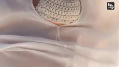 Marina Ruy Barbosa (pagando peitinho na Vip 2016)