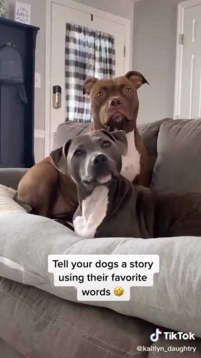 Grandma’s good boys