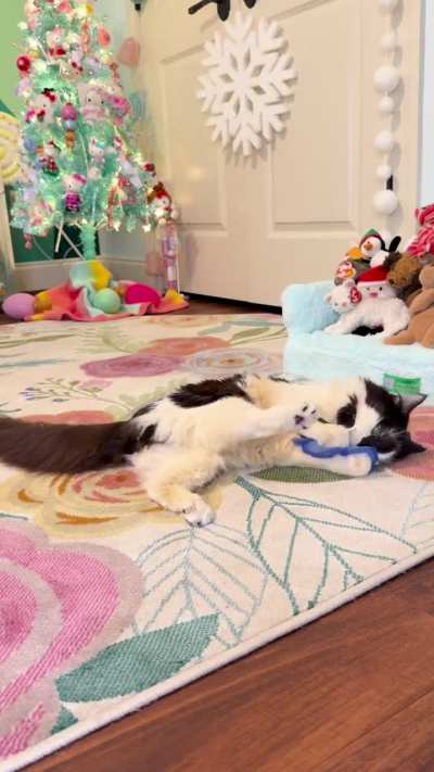 Advent calendar 2, day 23 ❤️💚