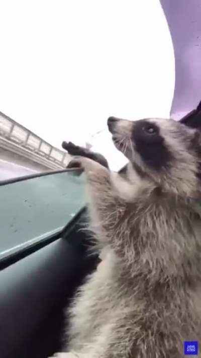 Needed to bring this one here