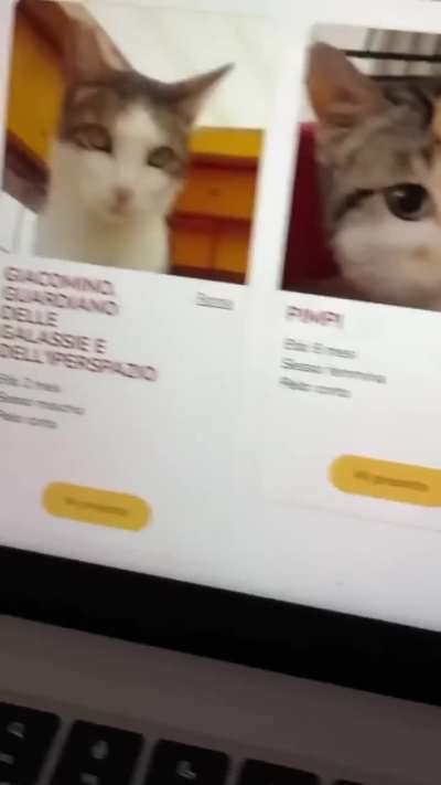 I hope he finds a home