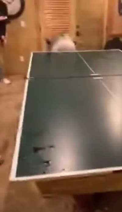 A simple game of beer pong…