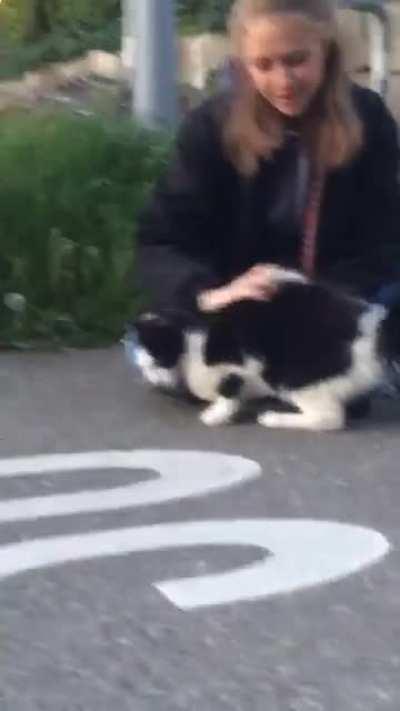 Can cats go full scorpion?...