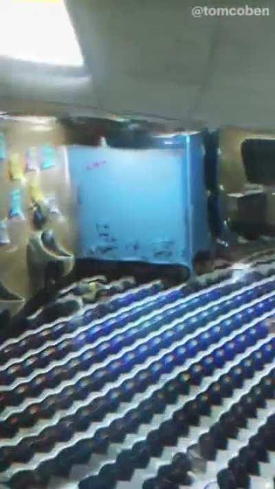 Not sure what salvia is like this just fun art