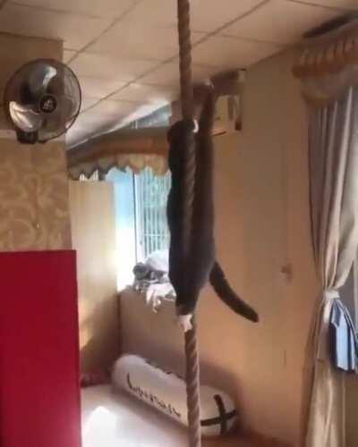 He'll do roof work, wet work, any work.