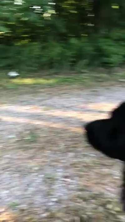 I left to take his brother on a 4 wheeler ride without him. My husband filmed the reaction…