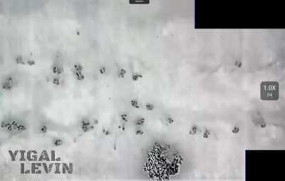 Newly arrived Ukrainian drone operator in Kursk region. The footage shows a striking difference between North Korean and Russian soldiers. North Korean soldiers move in large groups across open terrain, unaware of the threat from drones that can adjust ar