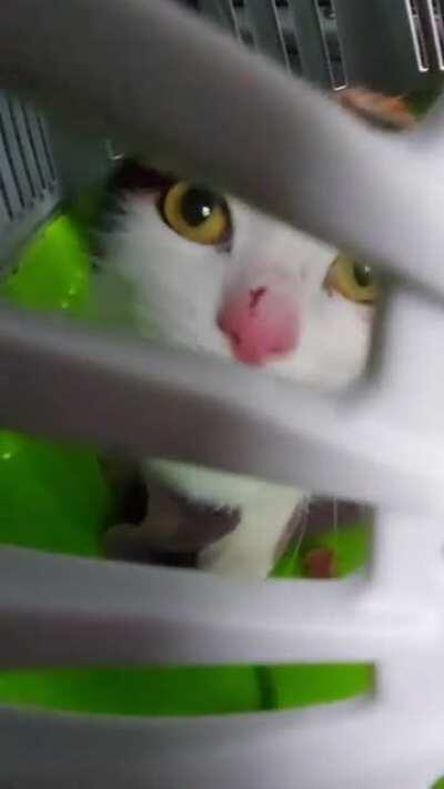 She wasn't happy when we first adopted her