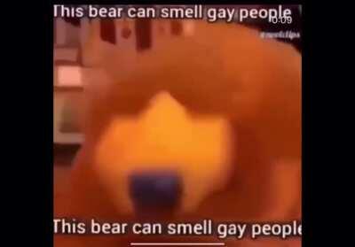 This bear can smell gay people
