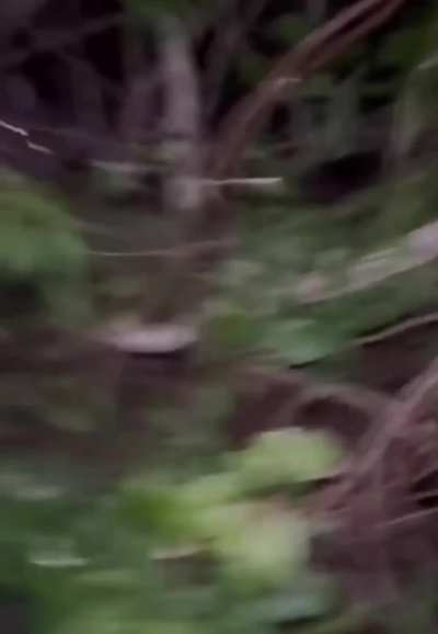 When You Feel Eyes are Watching...