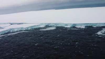 This is Iceberg A68a which broke off from Antarctica. It is the size of Delaware and is on course to collide with South Georgia Island