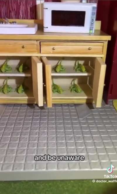 chameleonaire
