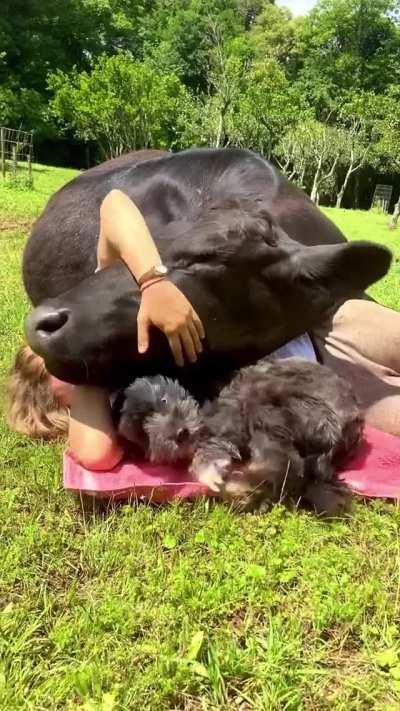 These puppies need so much attention