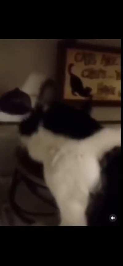 Ele está tentando falar algo 