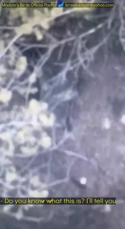 Madyar - UA drone recon. Hunting down a sniper that is observing Madyar's position. 28 Jan (posted 29th). PART 1. Subtitled