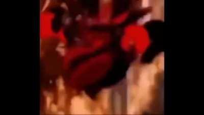 Humanity can't be saved, life's creation was a cruel mistake, we are feeding the life god by living the way we do, let it all burn let it all burn let it all burn let it all burn let it all burn let it all burn let it all burn let it all burn let it all b