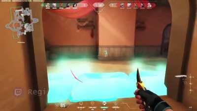 *When sage is not just your healer* #Valorant #Meme