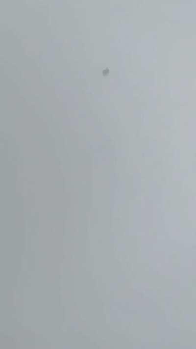 Tossing a tree branch into high wind