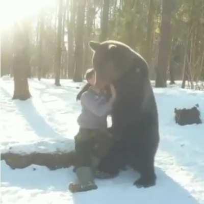 A Friendly Bear
