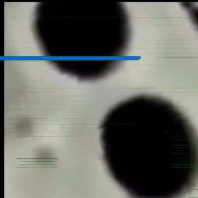 Neden buradasın? Niye varsın?