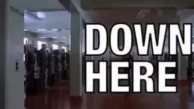 When you see a discord ping