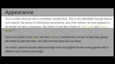 IBZ's message to the MHA fandom.