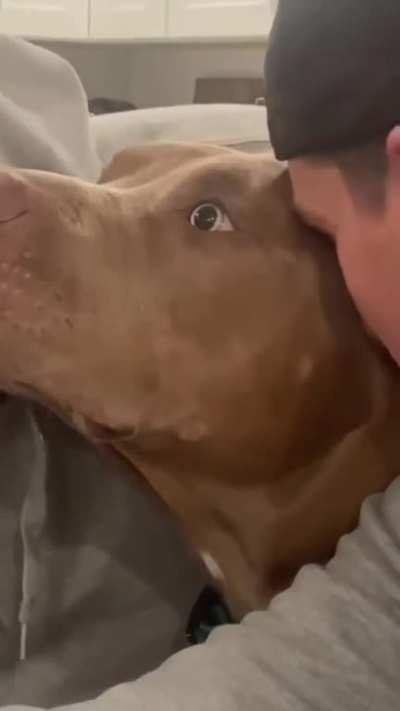 Just some friendly sniffs