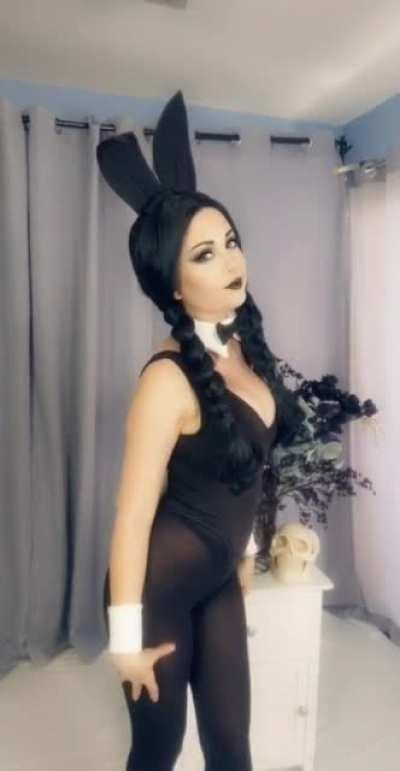 Bunny Wednesday (Instagram Stories)