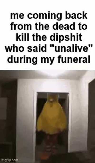 what is this. some kind of 