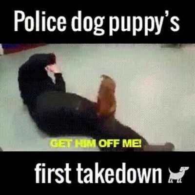 HMK while I practice my takedowns