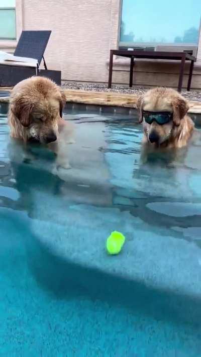 T.B waiting around for the problem to solve itself 🙈🎾