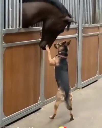 Well this brought on some good feels