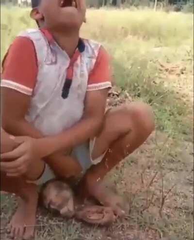 HMPT while i Rock a rock