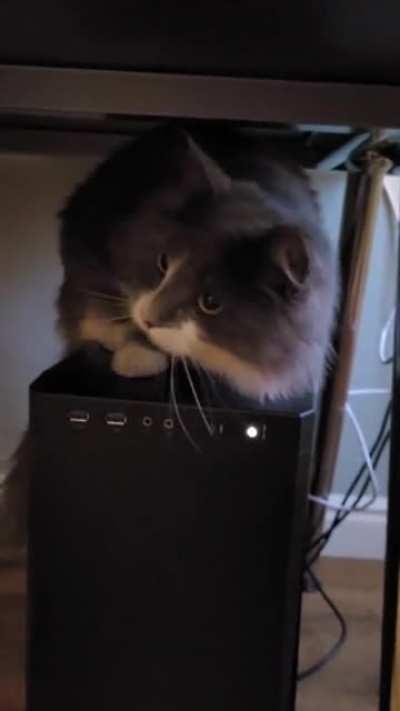 When i play too much video games