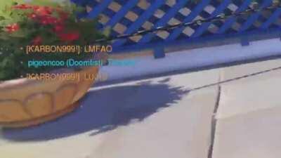 I’m so sorry Soldier...2/3 of the boops weren’t meant for you...