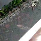 A monkey riding a bike trying to kidnap a child