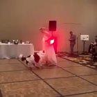 The happiest of wedding dances