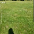 Man gets chased by wild beasts.