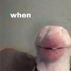 le w h e n has arrived