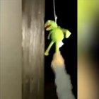 Petition to make this the pinned post.